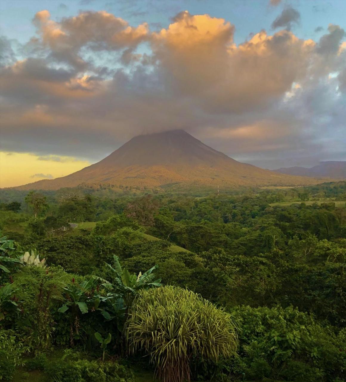 Lost Iguana Resort And Spa La Fortuna Eksteriør bilde