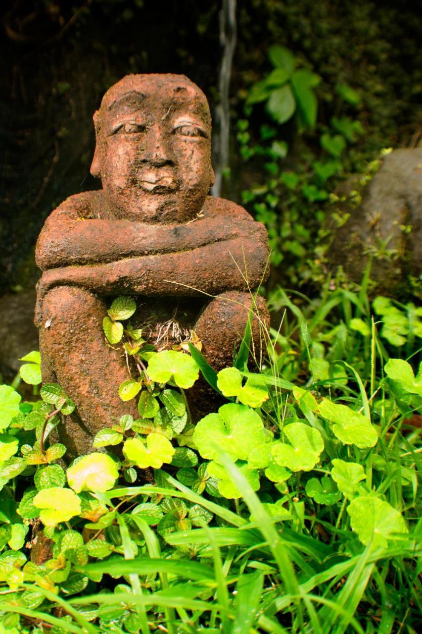 Lost Iguana Resort And Spa La Fortuna Eksteriør bilde